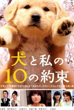 10 обещаний моей собаке смотреть онлайн в HD 1080