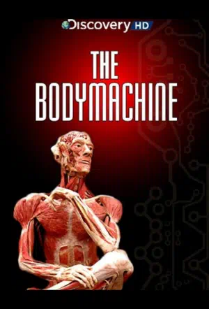 Механизм тела смотреть онлайн в HD 1080