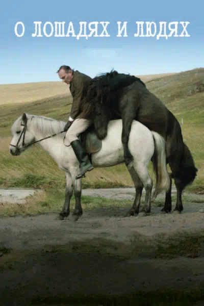 О лошадях и людях смотреть онлайн в HD 1080