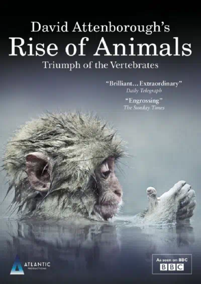 Восстание животных: Триумф позвоночных смотреть онлайн бесплатно
