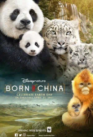 Рожденные в Китае смотреть онлайн в HD 1080
