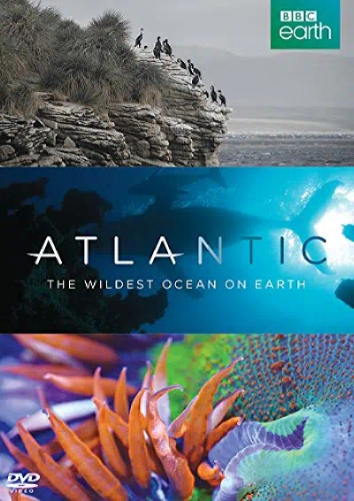 Атлантика: Самый необузданный океан на Земле смотреть онлайн бесплатно